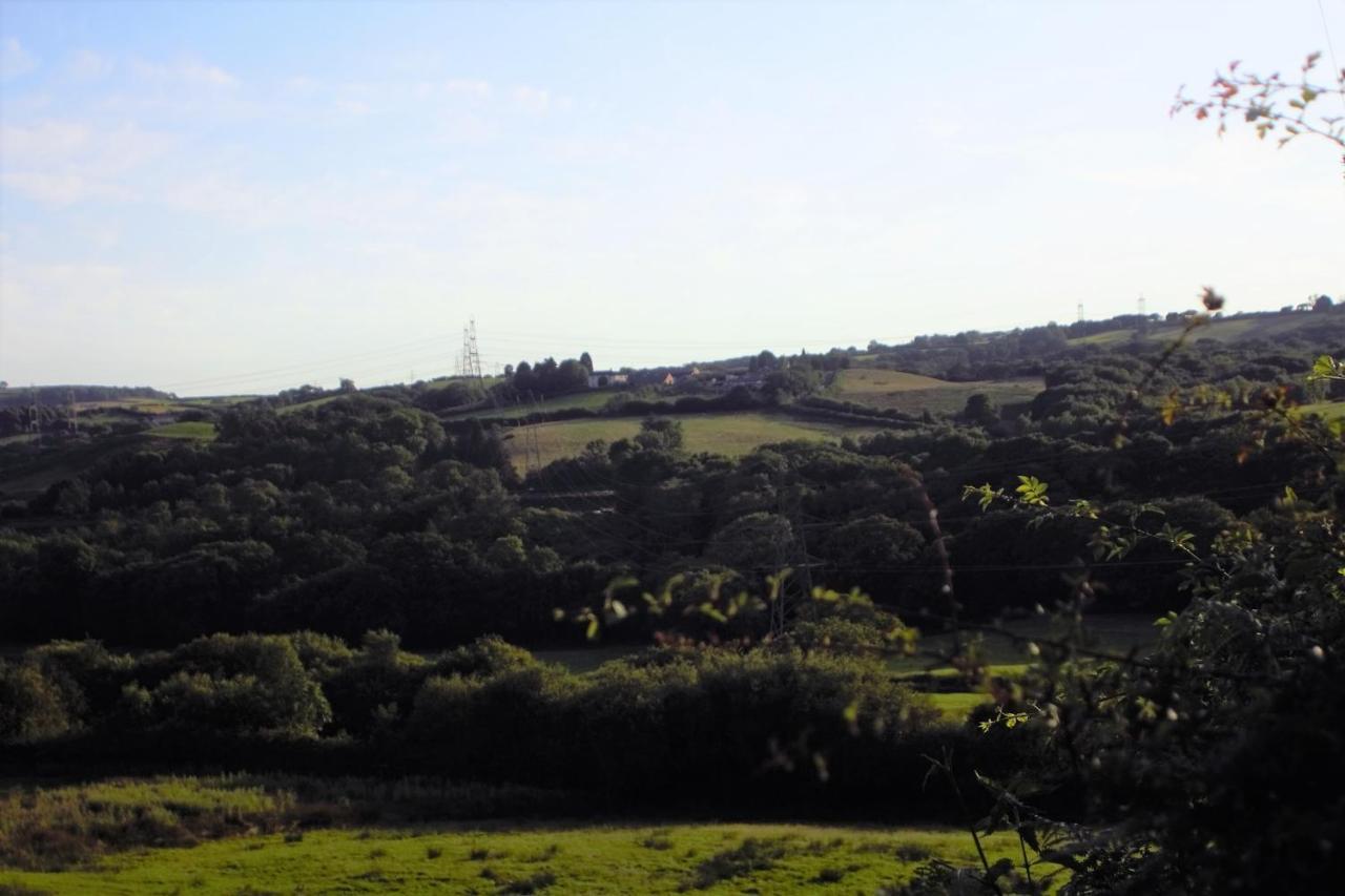 Plas Newydd Farm Llanedy 외부 사진