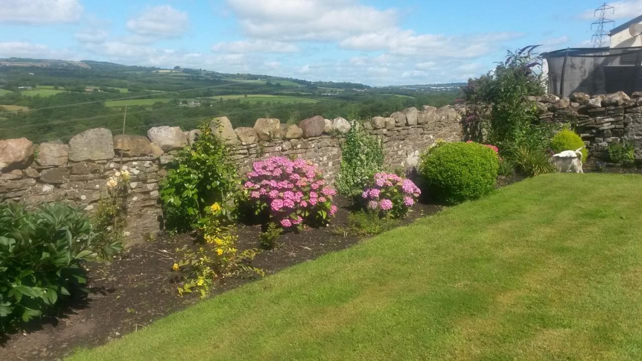 Plas Newydd Farm Llanedy 외부 사진